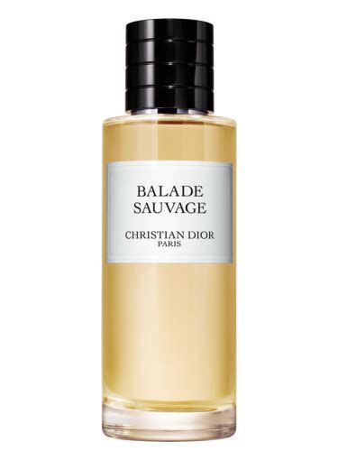 basco in oelle dior|Balade Sauvage Dior for women and men .